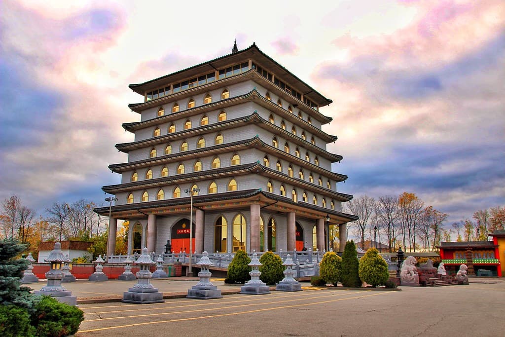 ריבוי צמחים בבית: כל שיטות ההשרשה